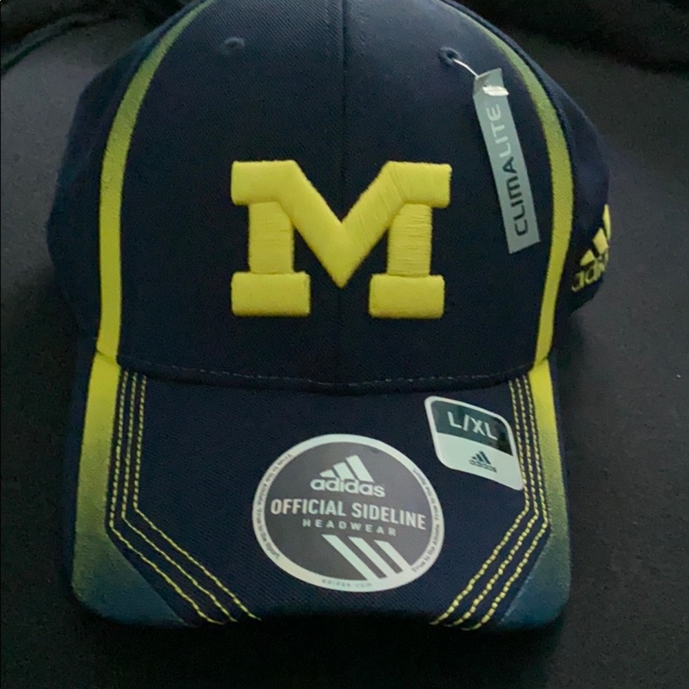 Michigan hat